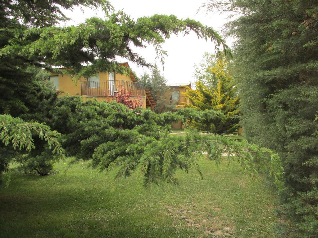 Cabanas Los Arreboles Potrerillos Zewnętrze zdjęcie